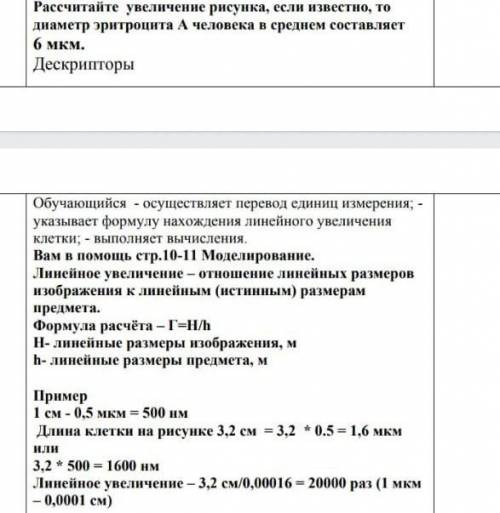 Как рассчитать диаметр эритроцита по картинке​