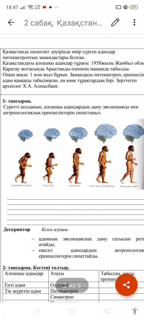 Суретті қолданып, алғашқы адамдардың даму эволюциясы мен антропологиялық ерекшеліктерін сипаттаңыз