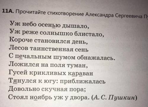 11В. Прокомментируйте нижнее подчеркнутые орфограммы типо что они означают для чего они