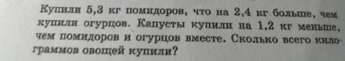 Купили 5,3 кг помидоров, что на 2,4кг больше чем огурцов вместе сколько всего килограммов овощей куп