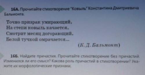 16 А.Б прочитайте стихотворение Ковыль Констатина Дмитриевича Бальмота ​