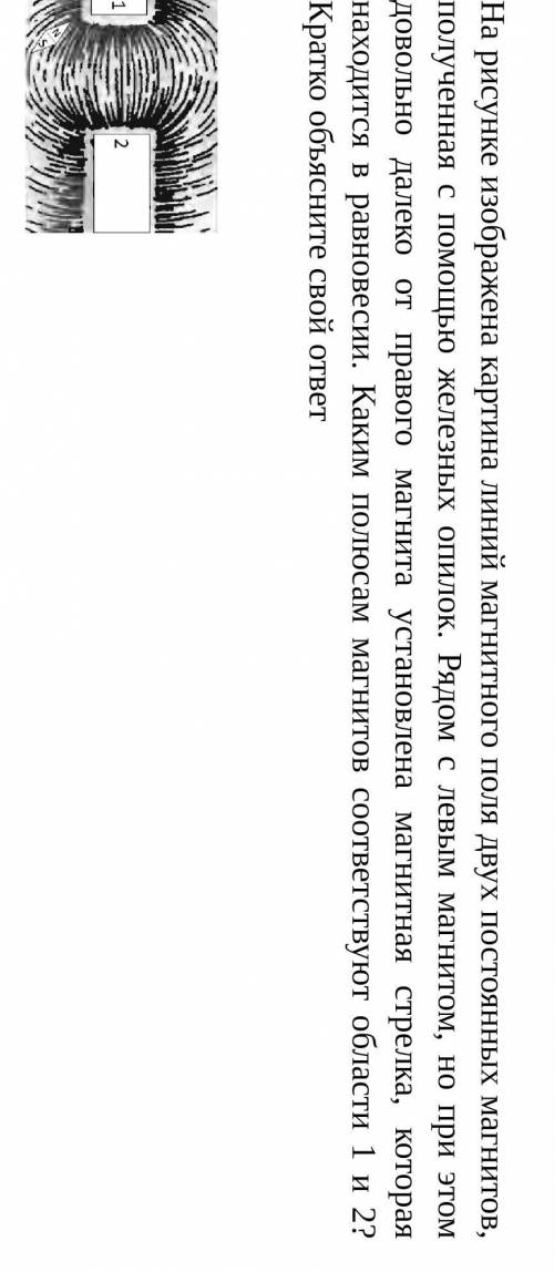На рисунке изображена картина линий магнитного поля от 2 постоянных магнитов, полученных с железных