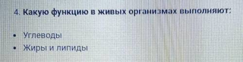 4. Какую функцию в живых организмах выполняют:УглеводыЖиры и липиды​