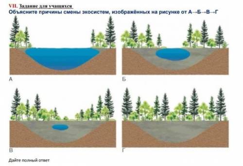 Определите систему смены экосистемы на рисунке от а б в г​