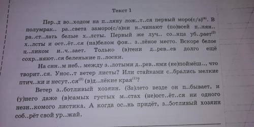 Перепишите текст, раскрывая скобки, вставляя, где это необходимо, пропущенные буквы и знаки препинан