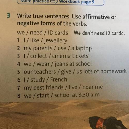 3 Write true sentences. Use affirmative or negative forms of the verbs.