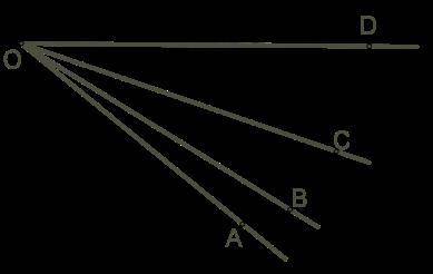 На рисунке лучи OA , OB , OC и OD нарисованы так, что выходят из общей начальной точки O . 1. Назови