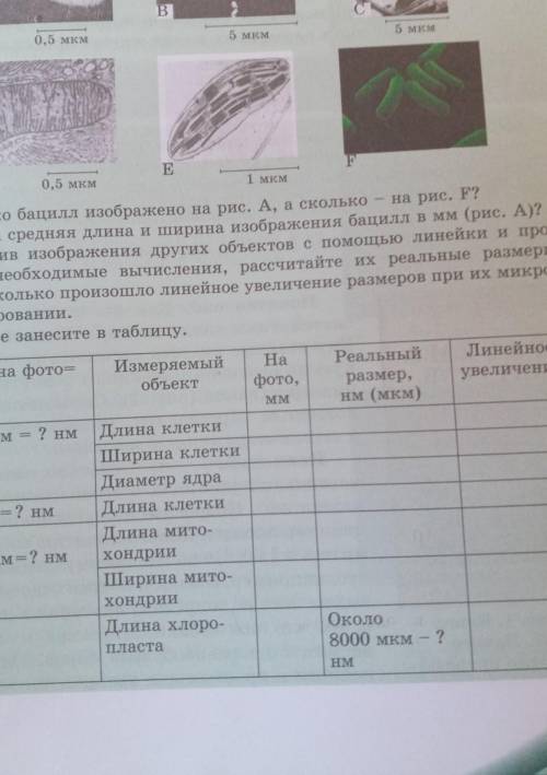 измерив изображения других объектов с линейки и проведя необходимые вычисления Рассчитайте их реальн