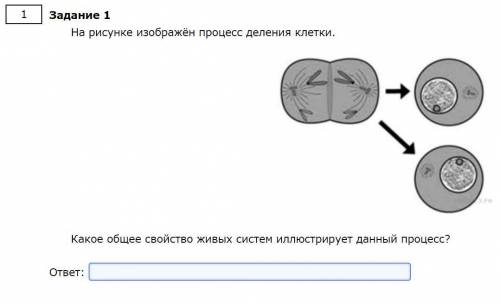 На рисунке изображён процесс деления клетки.