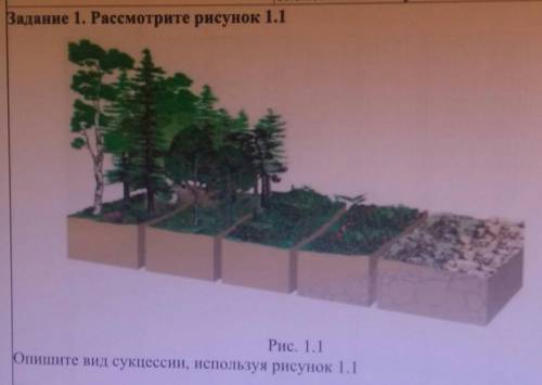 Экологических сукцессий Задание 1. Рассмотрите рисунок 1.1IРис. 1.1One mu сукцесси, используя рисуно