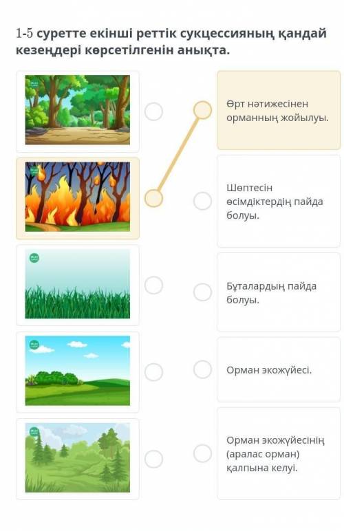 1-5 суретте екінші реттік сукцессияның қандай кезеңдер көрсетілегенін анықта.​