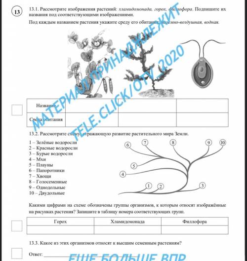 Биология, 7 класс и выполнить задание 13.1, 13.2, 13.3. Огромное
