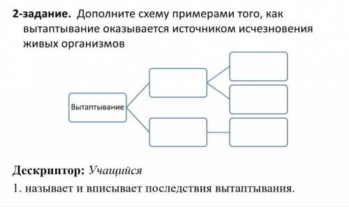 2-задание. Дополните схему примерами того, как вытаптывание оказывается источником исчезновения живы