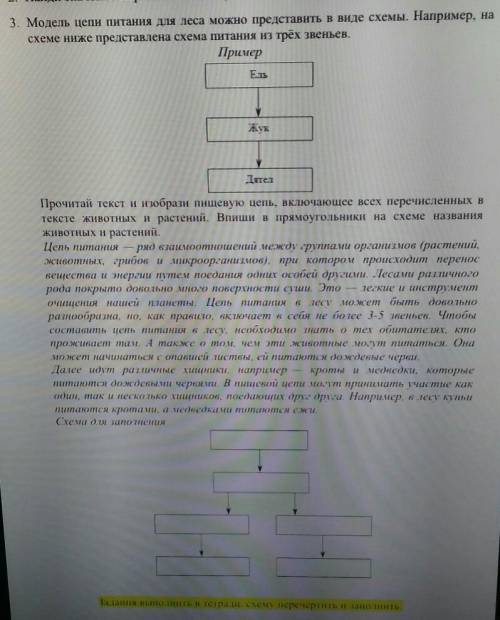 Прочитай текст и изобрази пищевую цепь, включающее всех перечисленных в тексте животных и растений.