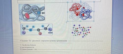 с биологии очень благодарна