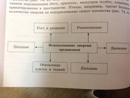 Создайте схему по обмену веществ подобно этой