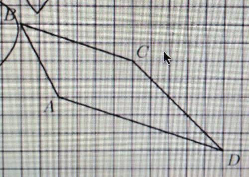 На клетчатой бумаге с размером клетки 1х1 изображена трапеция ABCD. Во сколько раз основание АD боль