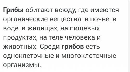 Где живут грибы в почве? В почвенной воде или в почвенном воздухе