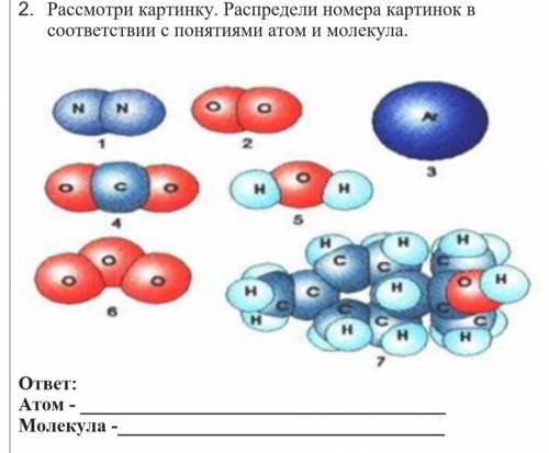 решите. 2. Рассмотри картинку. Распредели номера картинок в соответствии с понятиями атом и молекула