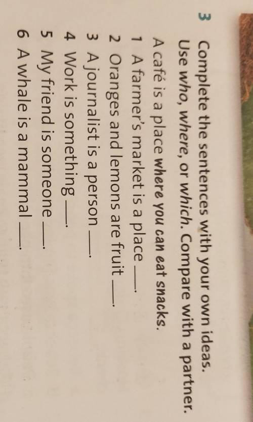 Complete the sentences with your own ideas.Use who, where, or which.Compare with a partner.​