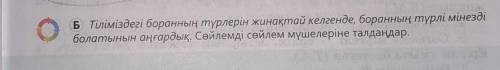 1-тапсырма. Мәтінді оқып, боран түрлерімен танысыңдар. А МәтінәмәтінжазыңдаБ ТіліміболатынҚыстың қат