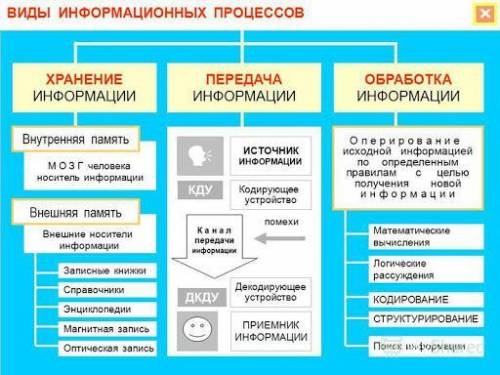 Хранение информации у человека