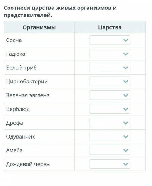 Соотнеси царства живых организмов и представителей.​