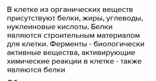 все существующие на земле живые организмы состоят из клетки почему не ткани или органы а клетки явля