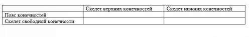 1. Заполните таблицу: опишите строение скелета верхних и нижних конечностей. 2. Какое значение для ч