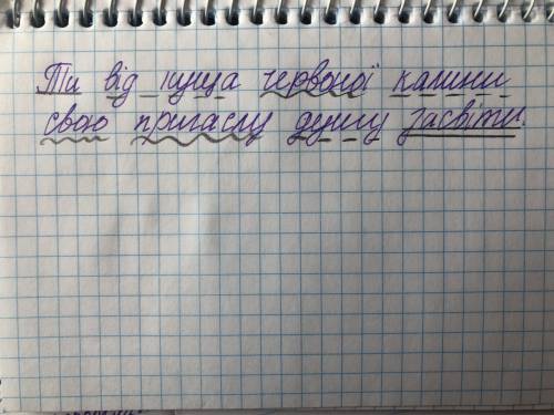 Підкресліть головні та другорядні члени речення Ти від куща червоної калини свою пригаслу душу засві