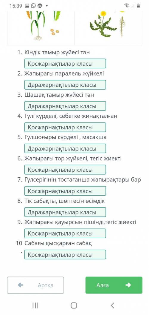 Төменде даражарнақты және қосжарнақты өсімдіктерінің суреттері берілген. Суреттегі өсімдік белгілері