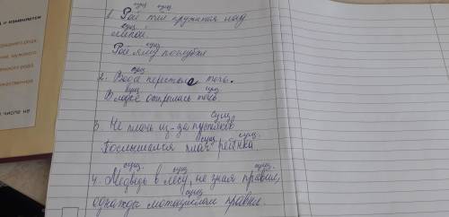 найти все существительные.Выполнили,но не уверена,что правильно.