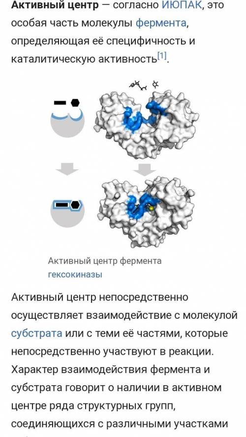 Из чего могут состоять активный центр фермента и сам фермент​