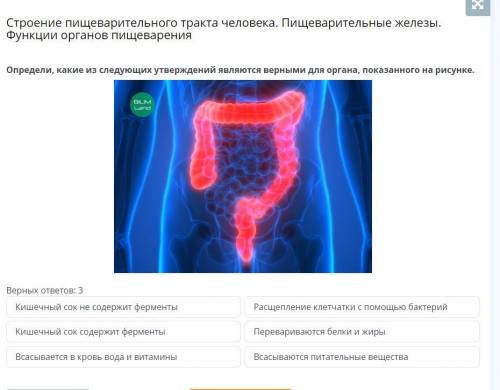 Необходимо выбрать 3 ответа