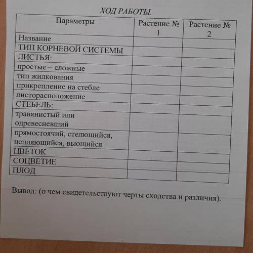 Растение 1 -лук репчатый Растение 2-лук круглый