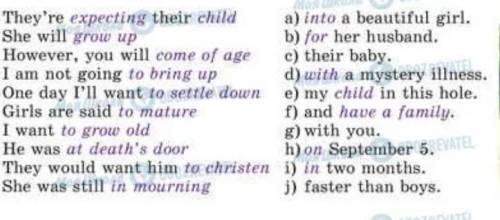 Match the beginnings with their endings to complete the sentences