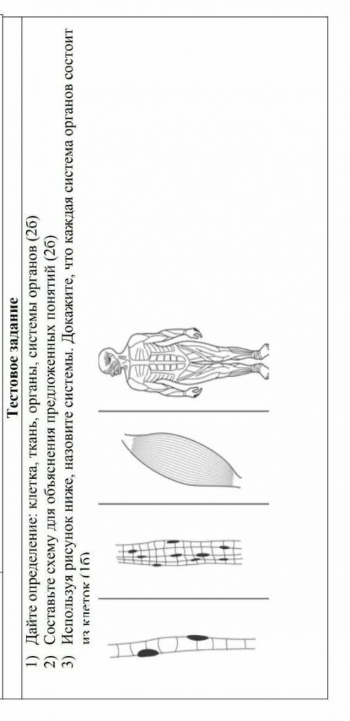 Биология текстовое задание 1, 2 и 3. ​