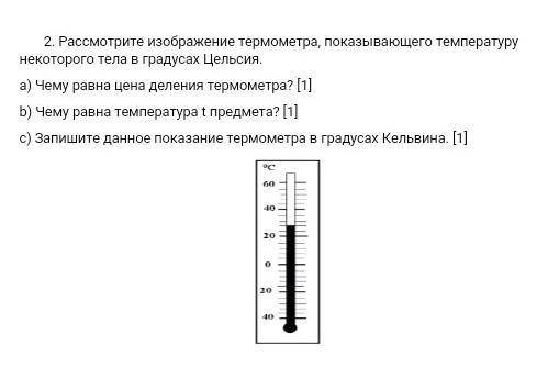 Чему равна цена деления термометра?​