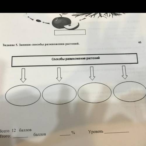Задание 5. Запиши размножения растений размножении растений Л Л Л Л Всего Итого: % Уровень