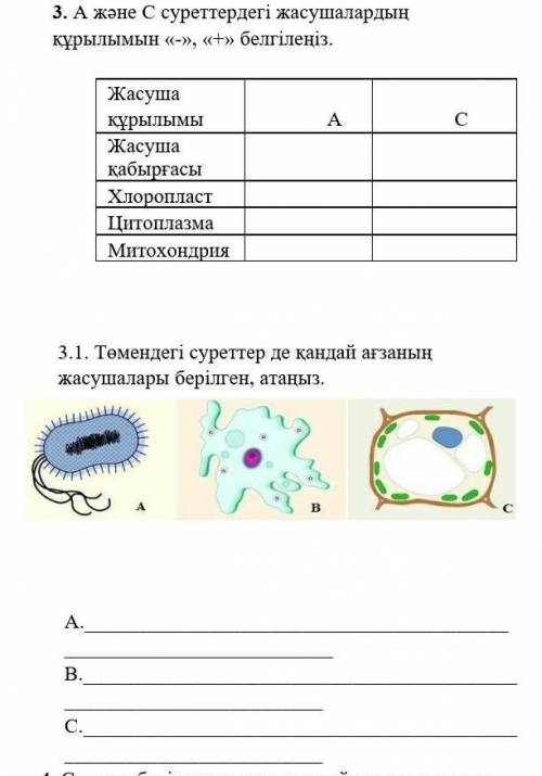 СУРЕТТЕ НЕ БЕЛГЫЛЕНГЕН КОМЕКТЕСЫНДЕРШ​