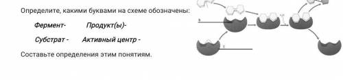 Определите какими буквами на схеме обозначены фермент продукты субстрат активный центр​