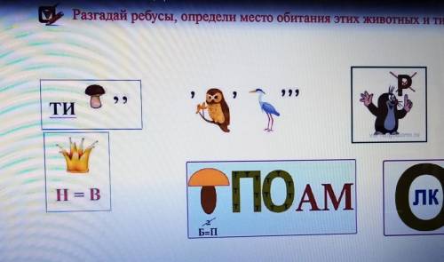 Разгадай ребус и определите место обитания этих животных и тип питания​