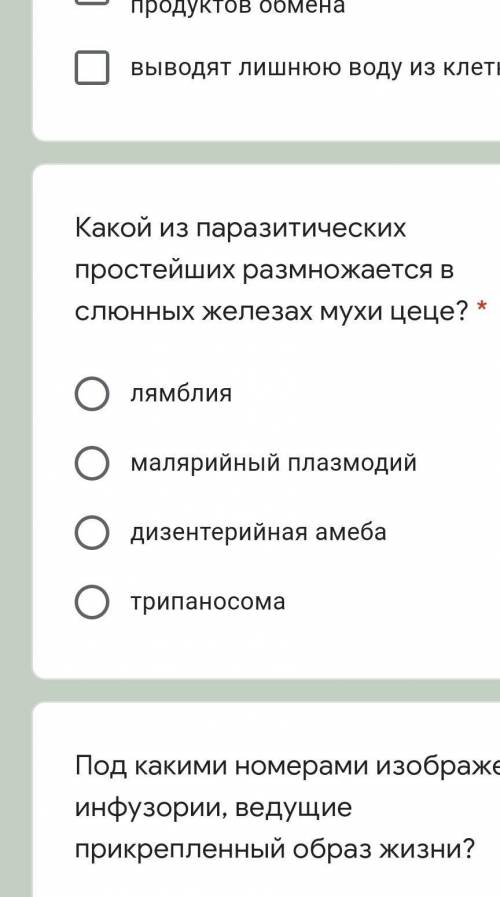 Какой из паразитических простейших размножается в слюнных железах мухи цеце? ​