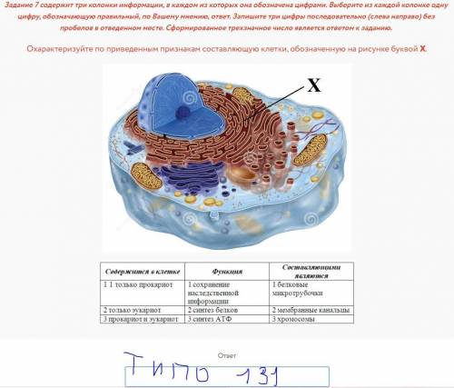 40! БАЛОВ (НЕ ПИШИТЕ ЕРУНДИ) Вопрос №1 Мембранные белки НЕ выполняют функцию:транспортнуюзащитнуюсиг