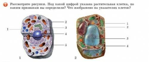 по биологии очень нужно через 10 мин сдавать...(((​