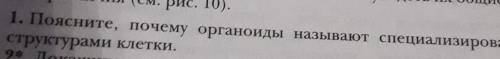 1. Поясните почему Органоиды называют специализированными структурами клетки это биология 9 класс