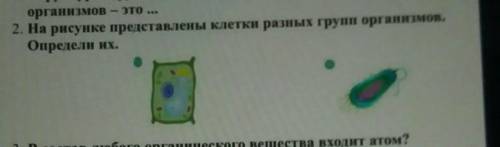 На рисунке представлены клетки разных групп организмов. Определи их.П.С дайте правильный ответ​