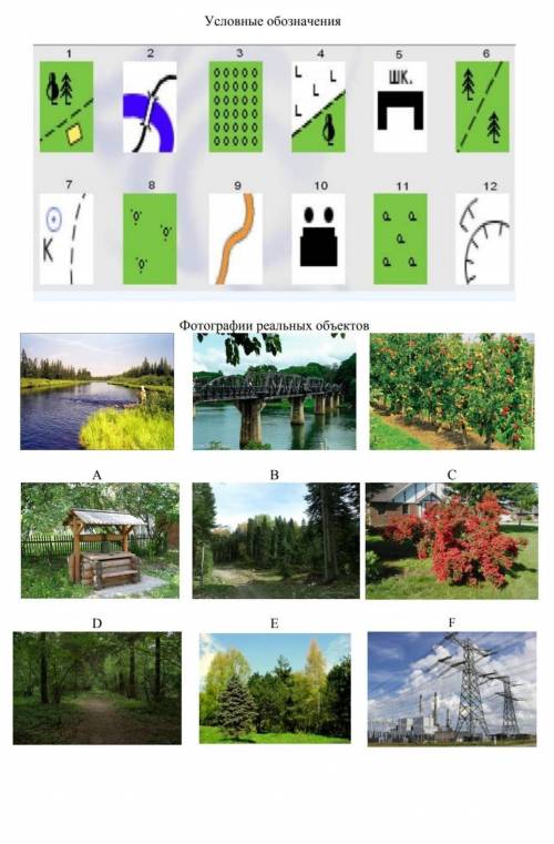 сопоставьте фотографию реального объекта с его условным обозначением. Даю 15б