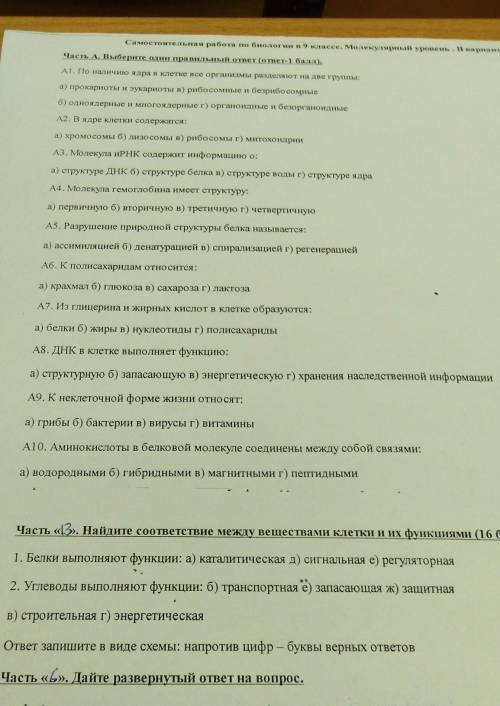 Самостоятельная работа по биологии 9класс. Молекулярный уровень​