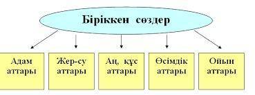 Кесте бойынша мысалдар жаз.